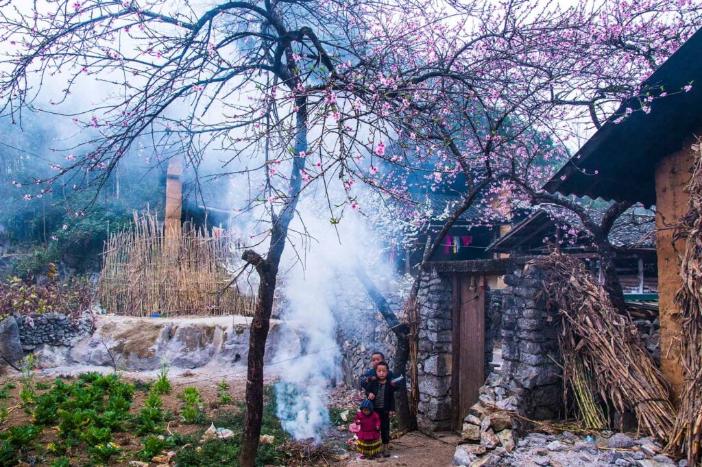 cảnh đẹp hà giang mùa xuân