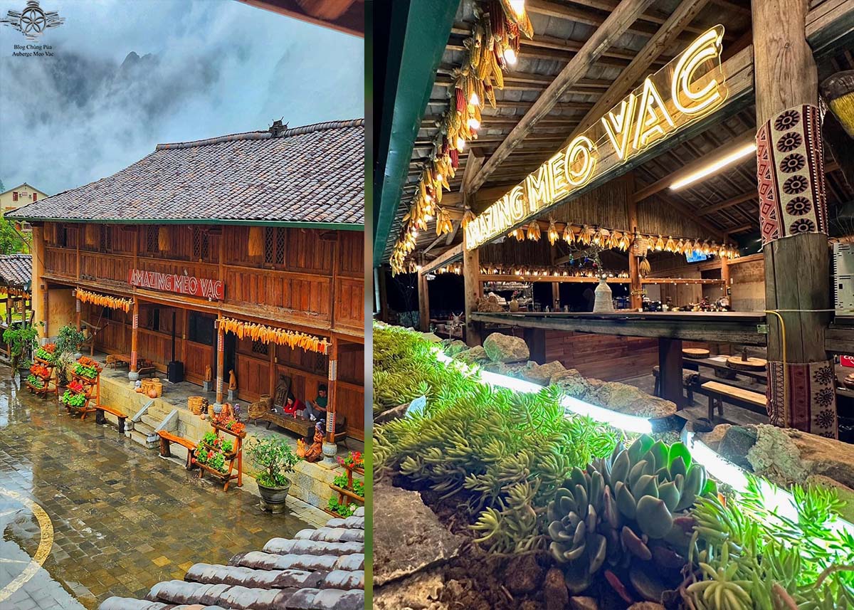 Amazing Mèo Vạc