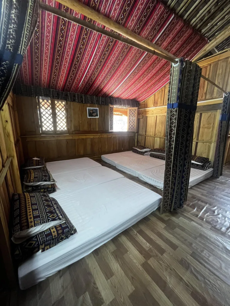phong-nghi-tai-amazing-meo-vac