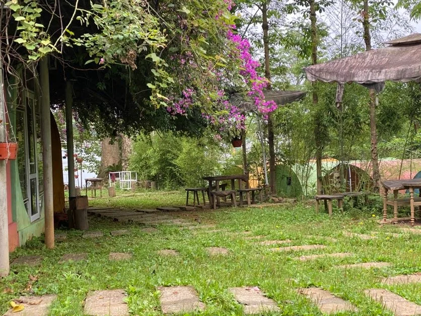 Vườn