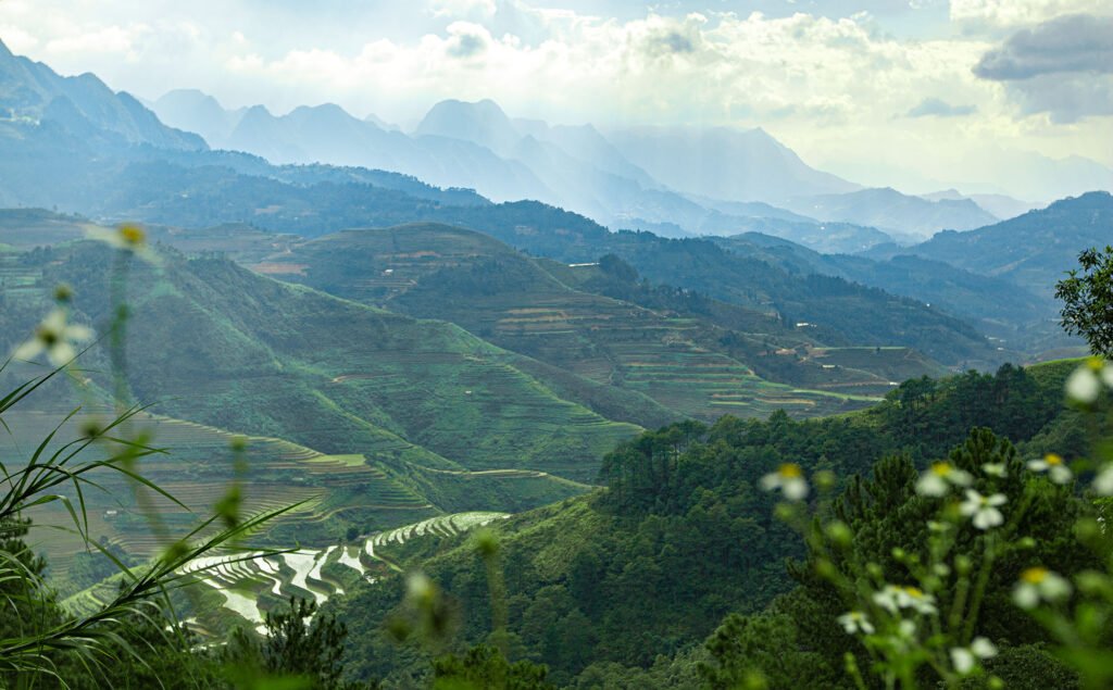 Scenic mountain landscape in Ha Giang, Vietnam, featuring majestic peaks and lush greenery.